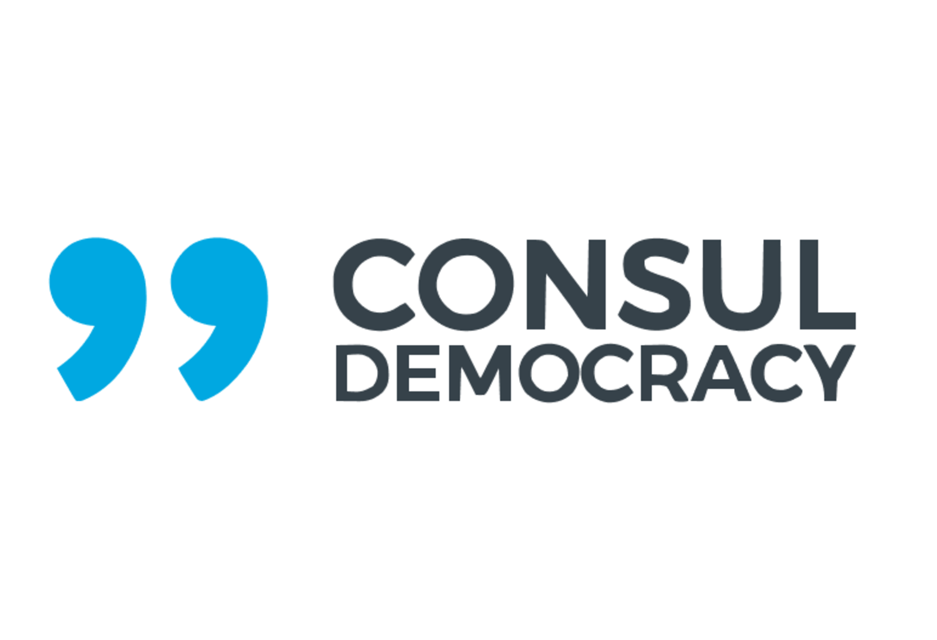 Logo der Consul Democracy Foundation